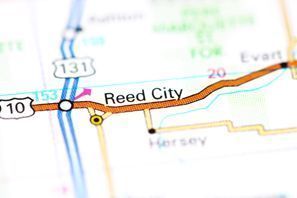 Inchirieri auto Reed City, MI, SUA